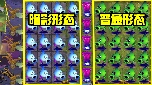 不同形态的暗影豌豆差距有多大?戴夫:完全没有可比性,差距太悬殊