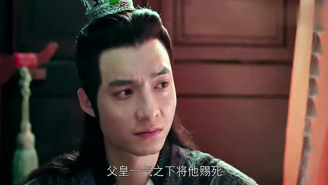 《花间提壶方大厨》太子告诉太子妃,方一勺的母亲就是琴姬