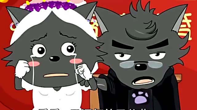 蕉太狼与香太狼准备结婚,没想到蕉太狼悔婚 夜太狼可有的受啦