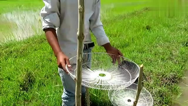 缅甸小孩特殊的捕鸟方法,真聪明!