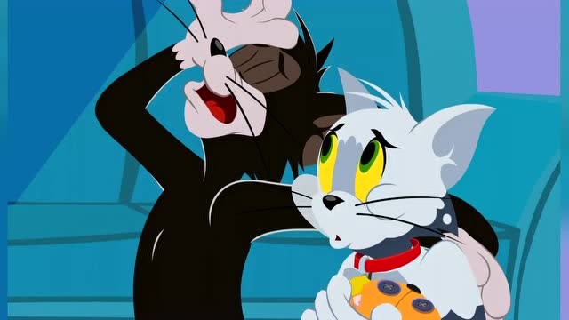 猫和老鼠:布奇告诉汤姆不要甘心做人类的宠物,要勇敢走出去