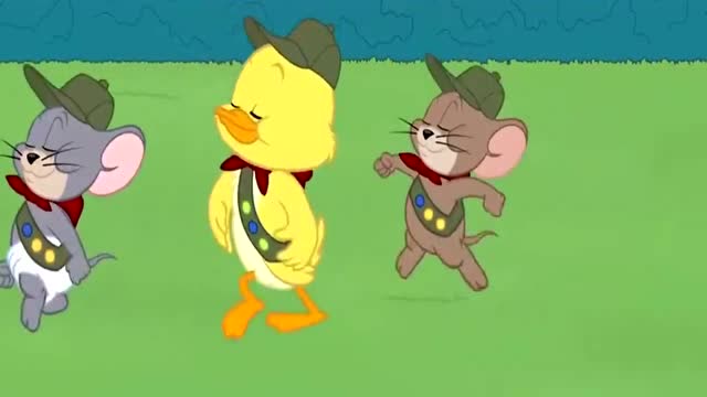 汤姆先生 腾讯网