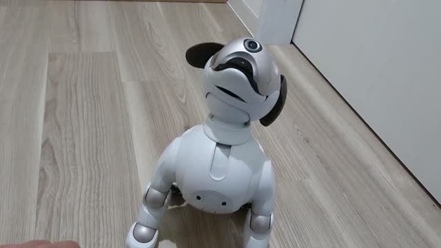 人工智能,未来人类的宠物,机器狗