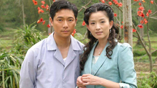 李羿慧《花开花落》,电视剧木棉花的春天片头曲!多少人听哭了