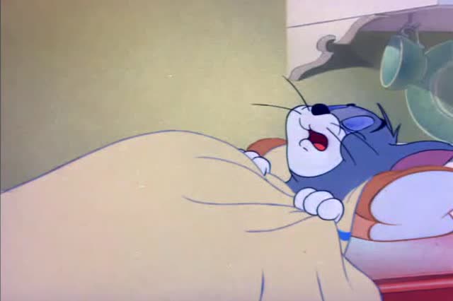 猫和老鼠:汤姆冒着被赶出去的风险也要去睡觉