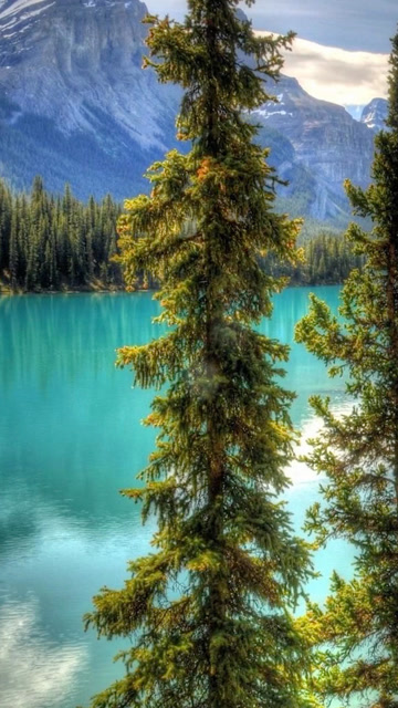 欣赏绿色的湖水