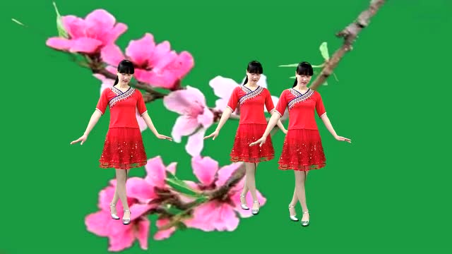 广场舞《桃花朵朵开》枝头鸟儿成双对 舞步简单好听更好看