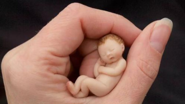 世界上最小的婴儿图片图片