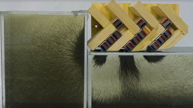 老外将磁铁放在铁屑上,看铁屑的反应才知道磁场是什么样的