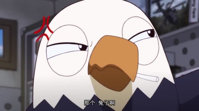 鹰酱向兔子索要购物钱,兔子为了不花钱,在鹰酱面前各种卖萌