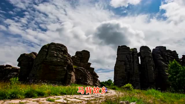 萨仁《我马背的故乡》