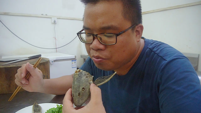 吃清道夫鱼头!问:肥仔那是啥感觉呢?