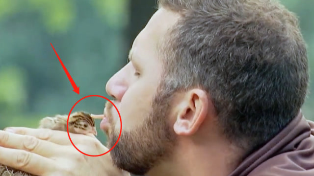 老外当街狂吃蚯蚓,并"嘴对嘴"投喂小鸟?路人:活久见系列