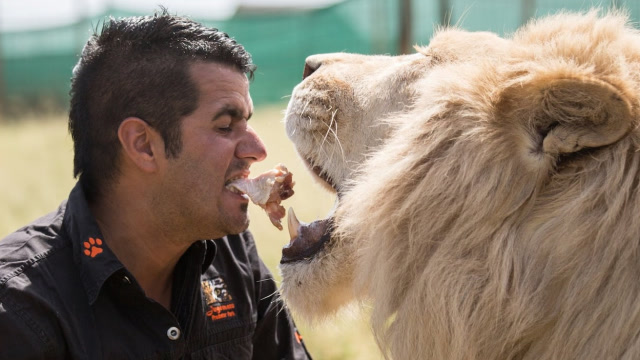 男子和非洲雄狮相处15年,可以嘴对嘴喂食, 看完大开眼界!