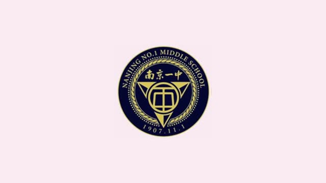 南京一中2019届青少年模拟政协备赛视频