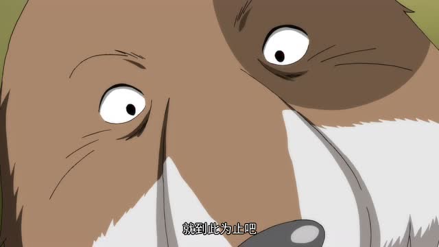 狐妖小红娘:白月初让梵云飞做出抉择,结果他毫不犹豫