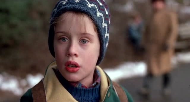 小鬼当家2:凯文来到公园,却发现一个满身鸽子的人,瞬间吓跑!