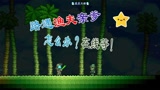 天铭 泰拉瑞亚 1.3手机版 03 渔夫大佬 请收下我的膝盖