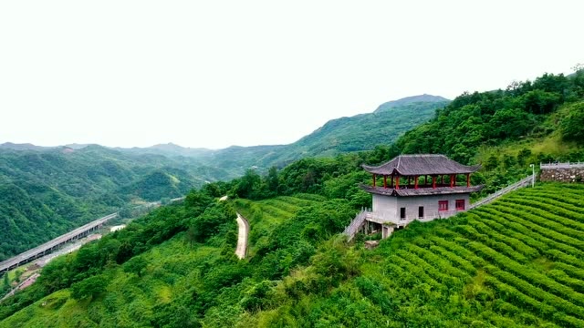 5月27日上午10点,12小时慢直播,带你探索宝藏湖北