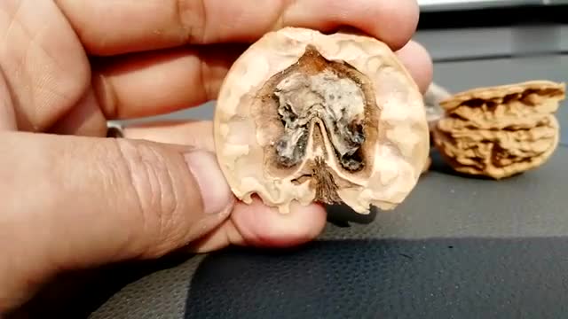 文玩核桃要不要封底?砸开以后解开了谜底!