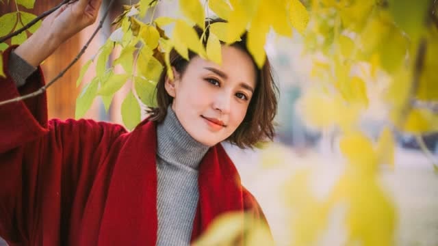 张蕾接替谢娜"上春晚",不负众望温婉端庄胜董卿