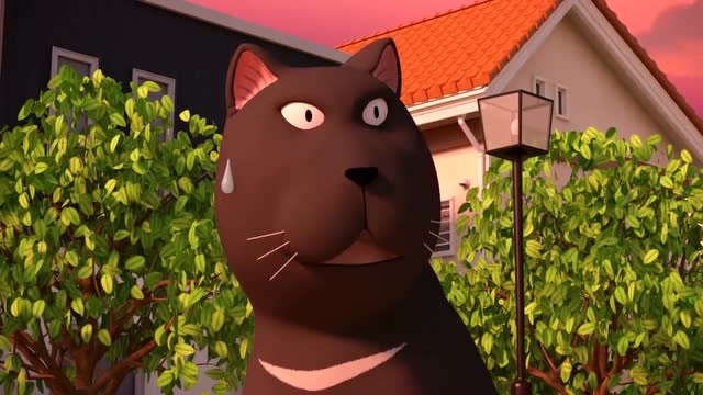 《甜甜私房猫》学习跳舞的大黑!