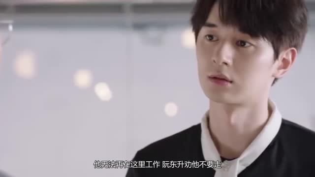 身为一个胖子:伊娃创业太忙,阮东升心生埋怨,求助伊人为其支招