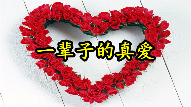 情歌:《一辈子的真爱》当岁月渐渐风化了眼泪,才会明白真爱