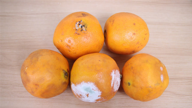 你家有烂掉橙子吗?我也是才知道,后悔知道晚了,告诫家人还不晚