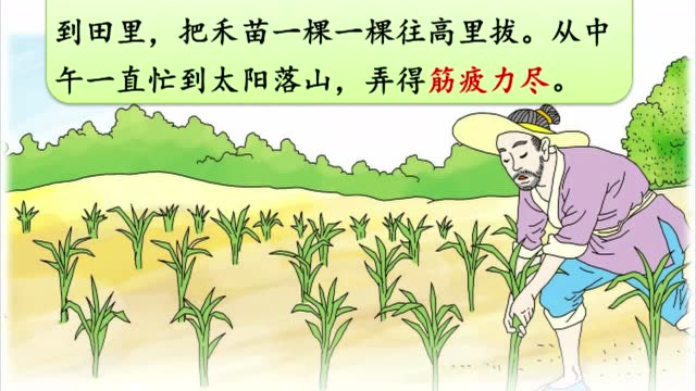 12揠苗助长课文2