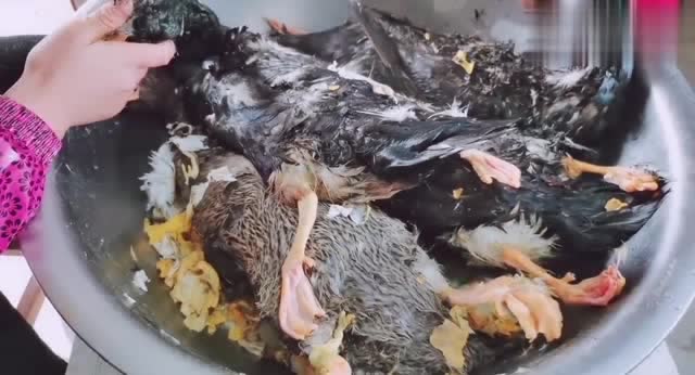 农村妈妈杀鸭子,下手稳准狠,她却这样烫鸭毛?简直神了!