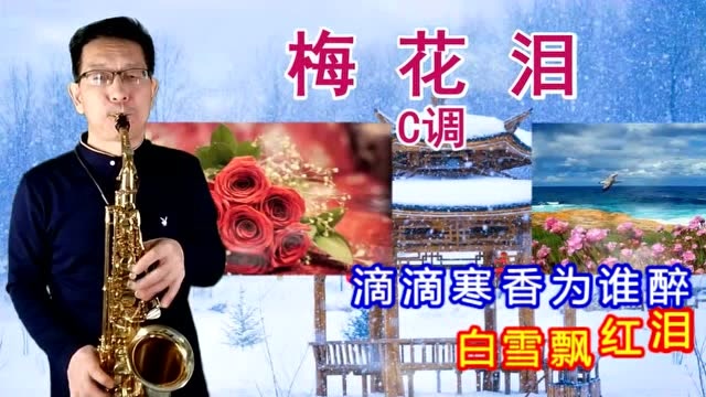 萨克斯演奏梅花泪谁说梅花没有泪只是冰雪还未寒透梅花蕊