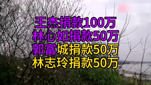 对于武汉援助:港台明星捐款和部分内地明星捐款差别,你们怎么看