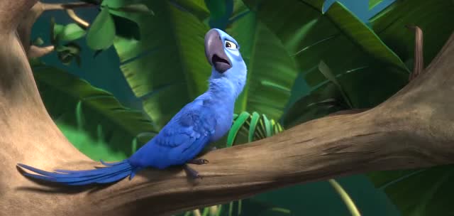 里约大冒险:太搞笑了!小天使想着如何逃跑,没想到布鲁竟然在想这个!