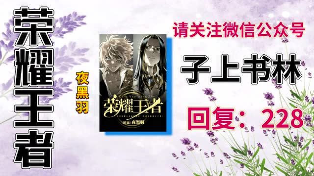 荣耀王者苏哲武姿夜黑羽资源