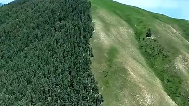 还记得这个阴阳山吗,山绿了依然是阳坡不长树,阴坡长树绝非人为!