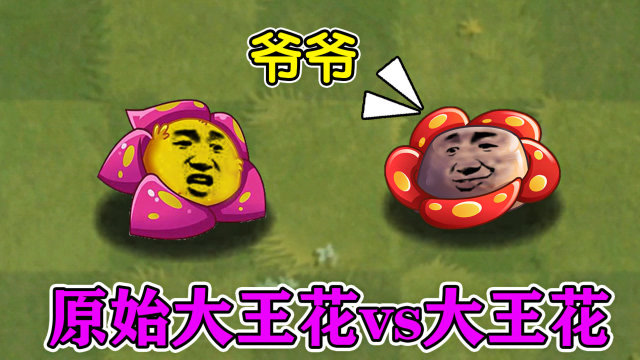 pvz2:原始大王花vs大王花,大王花表示自愧不如,搞笑片段!