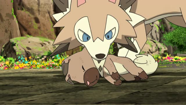 精灵宝可梦:看到岩狗狗后,卡噗蝶蝶似乎想起来这是昨晚遇到的岩狗狗