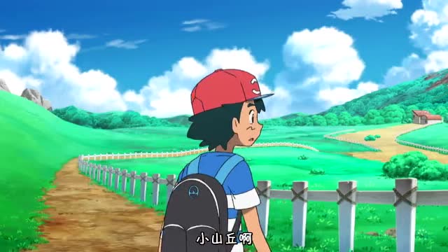 精灵宝可梦:玛奥想要和小智一起出发了,丽姿突然叫住了玛奥