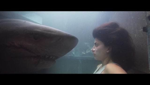 深海狂鲨女主角图片