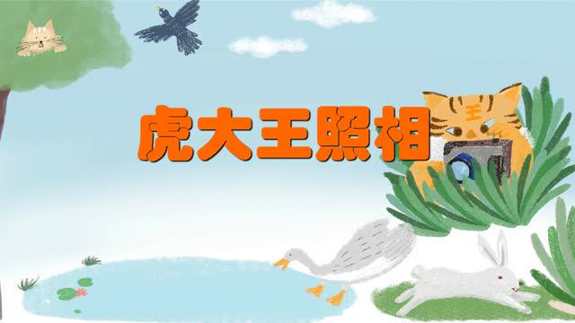 虎大王照相(表演与口才5)