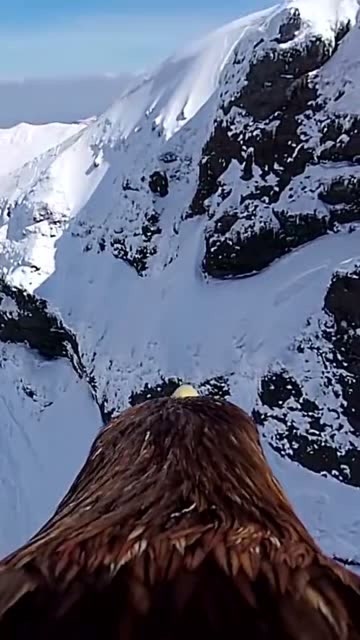 长这么大第一次骑老鹰,当了一回娜可露露,这视野也太好了