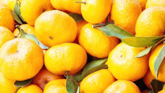 桔子别只傻傻选黄的,教你几个小技巧,个个汁多味甜