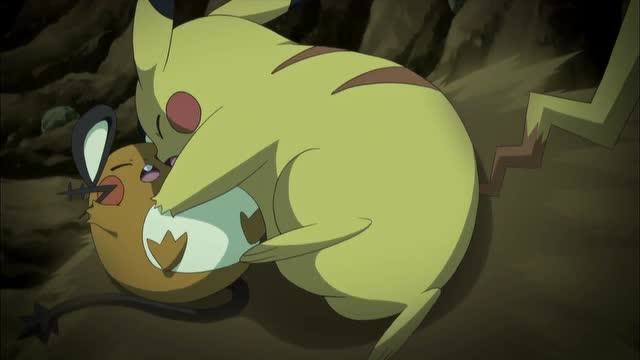 两只黄皮耗子!皮卡丘扑住咚咚鼠,滚成一个球