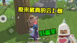 香肠派对：原来猪真的会上树还是第一次见这也太搞笑了