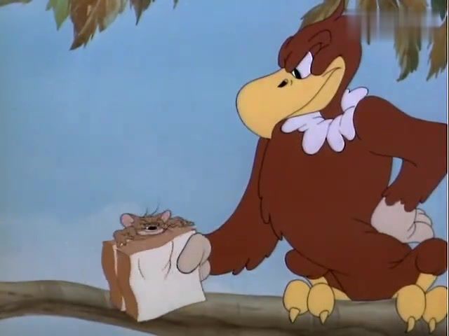 猫和老鼠:一只雄鹰抓了杰瑞,拿了两片面包,把杰瑞夹了进去