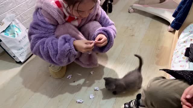 小娜子评论区选了6个名字,写在纸上让猫咪自己挑,它会选择哪个呢?