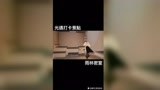 光遇彩蛋：雨林密室