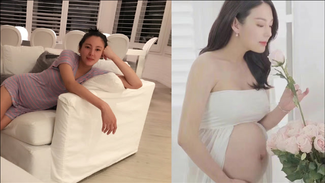 疑似张雨绮代孕合同曝光?经纪人晒孕肚照回应
