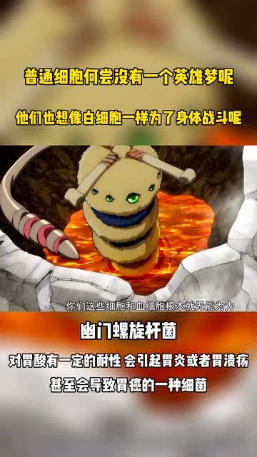 工作细胞,普通细胞何尝没有一个英雄梦呢?